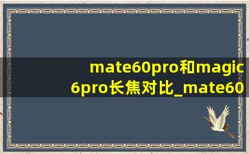 mate60pro和magic6pro长焦对比_mate60pro和magic6 pro对比